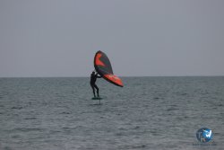 20230226-wing-franqui-075.jpg