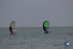 20230226-wing-franqui-077.jpg