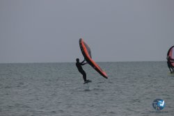 20230226-wing-franqui-078.jpg
