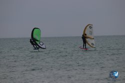 20230226-wing-franqui-080.jpg