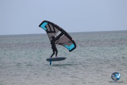 20230312-Franqui-002.jpg