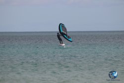 20230312-Franqui-003.jpg