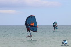 20230312-Franqui-009.jpg