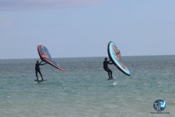 20230312-Franqui-010.jpg