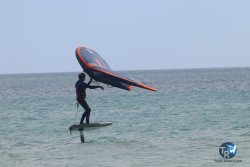 20230312-Franqui-011.jpg