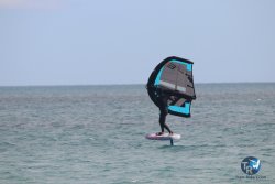 20230312-Franqui-012.jpg