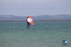 20230312-Franqui-016.jpg