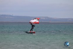 20230312-Franqui-017.jpg