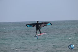 20230312-Franqui-018.jpg