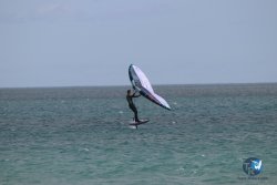 20230312-Franqui-019.jpg