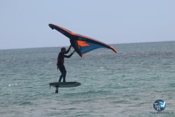 20230312-Franqui-022.jpg
