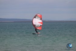 20230312-Franqui-023.jpg