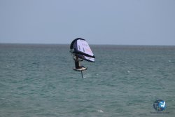 20230312-Franqui-025.jpg