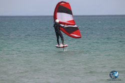 20230312-Franqui-032.jpg