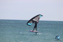 20230312-Franqui-033.jpg