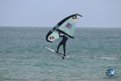 20230312-Franqui-035.jpg