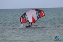 20230312-Franqui-042.jpg
