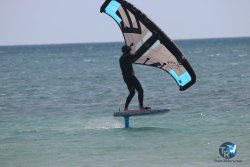 20230312-Franqui-043.jpg