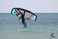 20230312-Franqui-044.jpg