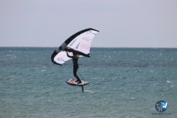 20230312-Franqui-045.jpg