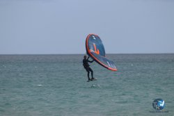 20230312-Franqui-048.jpg