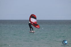20230312-Franqui-055.jpg