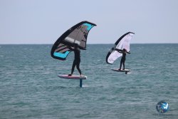 20230312-Franqui-063.jpg