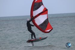 20230312-Franqui-072.jpg