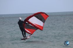 20230312-Franqui-073.jpg