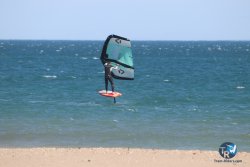 20230312-Franqui-077.jpg