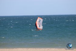 20230312-Franqui-084.jpg