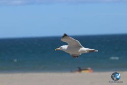 20230312-Franqui-085.jpg