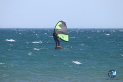 20230312-Franqui-095.jpg