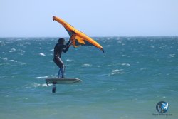 20230312-Franqui-105.jpg