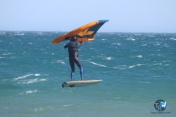 20230312-Franqui-136.jpg