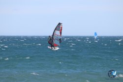 20230312-Franqui-152.jpg