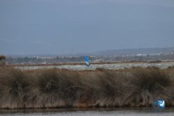 20230326-Tempete-eole-017.jpg