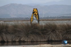 20230326-Tempete-eole-018.jpg