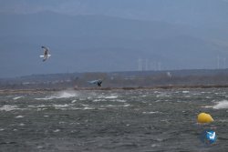 20230326-Tempete-eole-079.jpg