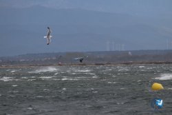 20230326-Tempete-eole-080.jpg