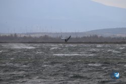 20230326-Tempete-eole-095.jpg