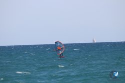 20230409-MArende-wing-002.jpg