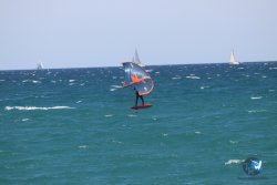 20230409-MArende-wing-005.jpg