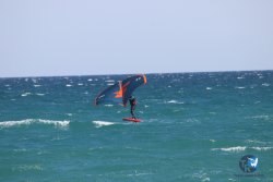 20230409-MArende-wing-006.jpg