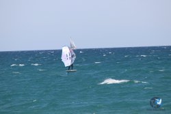 20230409-MArende-wing-008.jpg