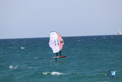 20230409-MArende-wing-009.jpg