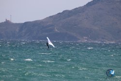 20230409-MArende-wing-012.jpg