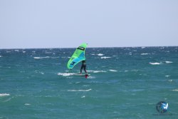 20230409-MArende-wing-013.jpg