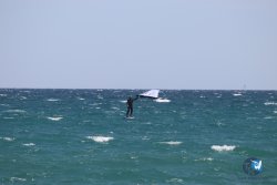 20230409-MArende-wing-014.jpg