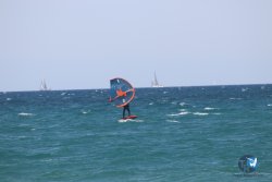 20230409-MArende-wing-015.jpg